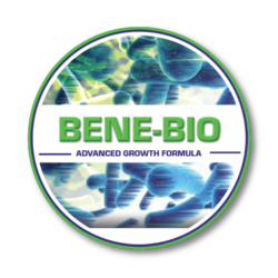 Bene-Bio is your biology foundation