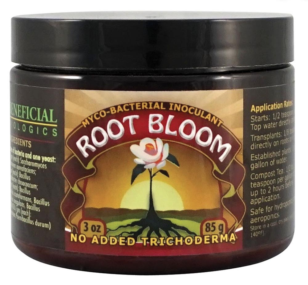 root bloom